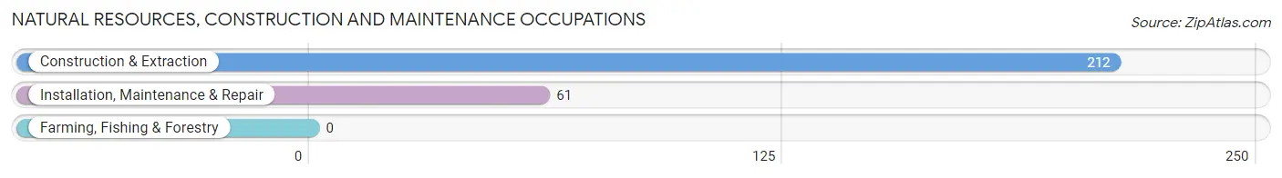 Natural Resources, Construction and Maintenance Occupations in White City