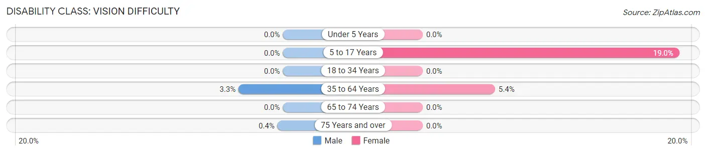 Disability in White City: <span>Vision Difficulty</span>