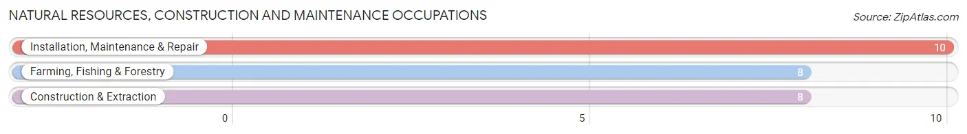 Natural Resources, Construction and Maintenance Occupations in White Springs