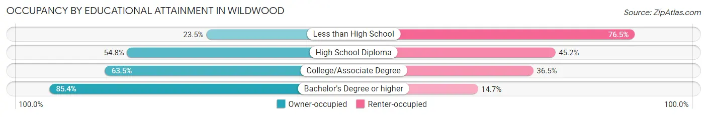 Occupancy by Educational Attainment in Wildwood