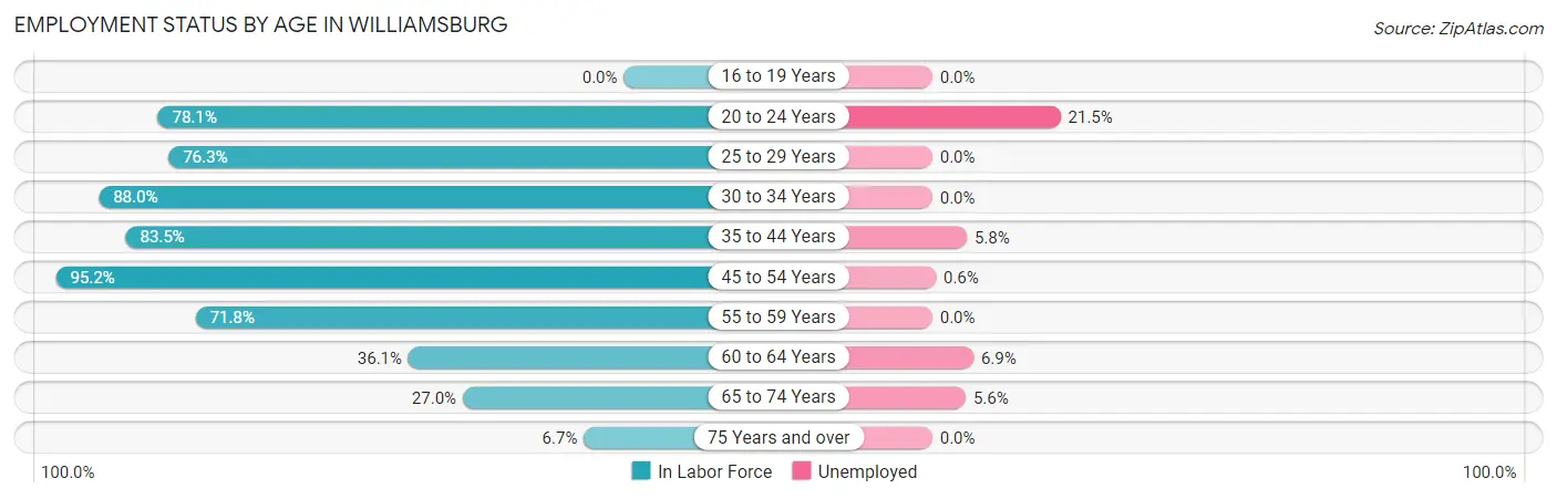 Employment Status by Age in Williamsburg