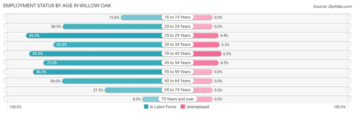 Employment Status by Age in Willow Oak