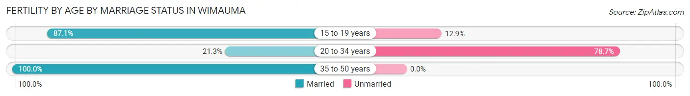Female Fertility by Age by Marriage Status in Wimauma