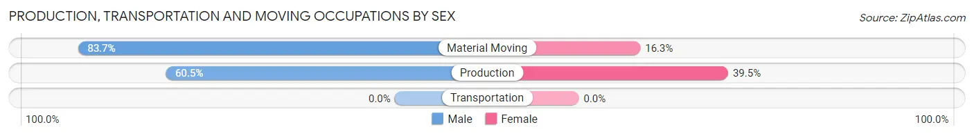 Production, Transportation and Moving Occupations by Sex in Winter Beach