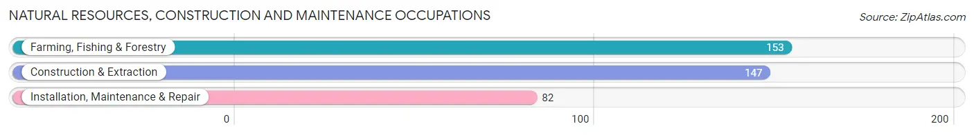 Natural Resources, Construction and Maintenance Occupations in Woodville