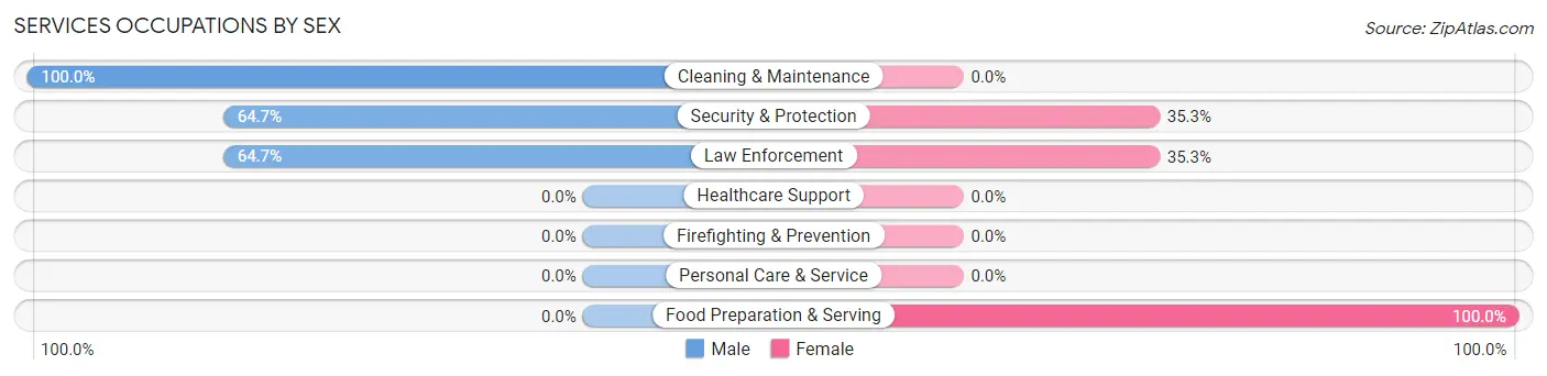 Services Occupations by Sex in Worthington Springs