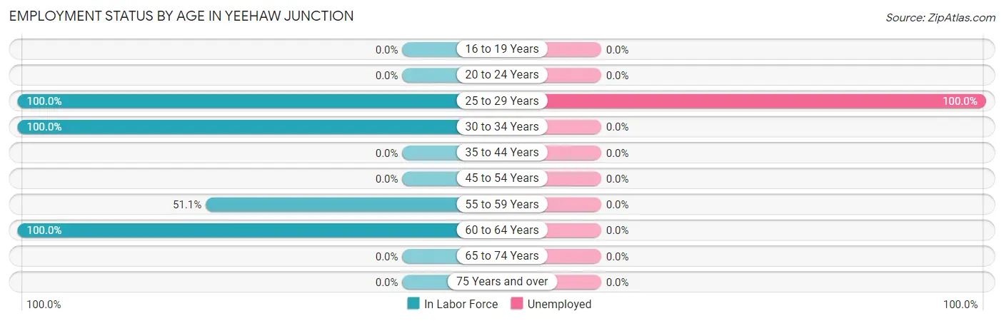 Employment Status by Age in Yeehaw Junction