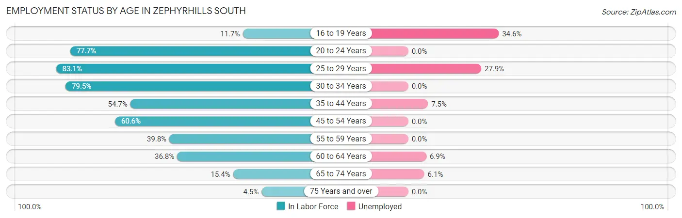 Employment Status by Age in Zephyrhills South