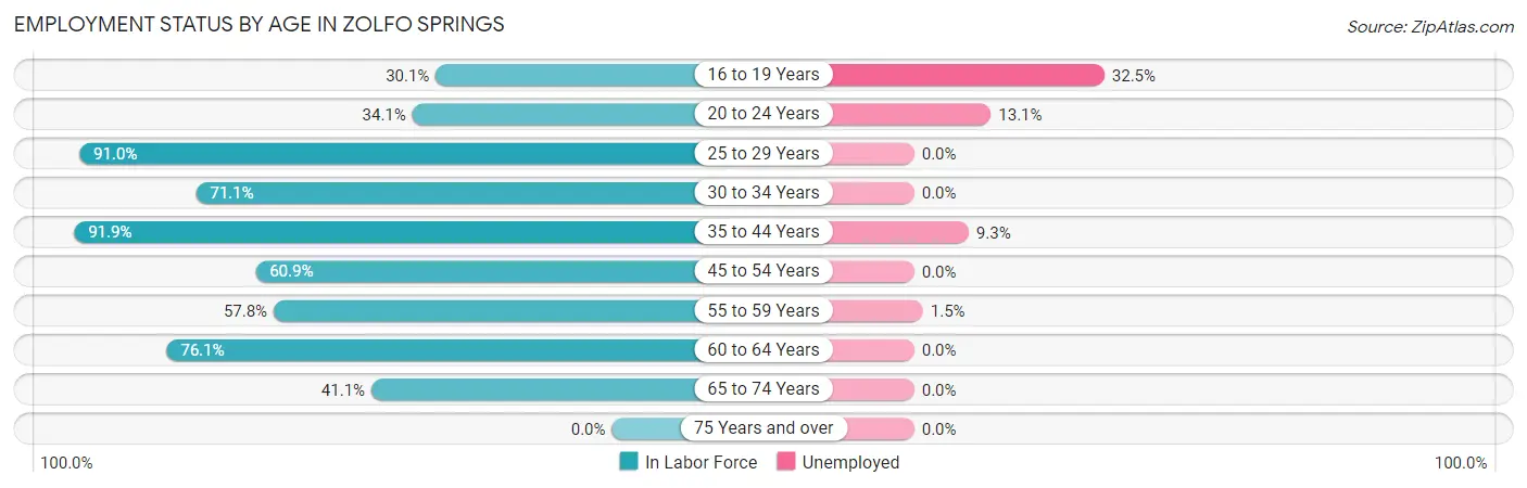 Employment Status by Age in Zolfo Springs