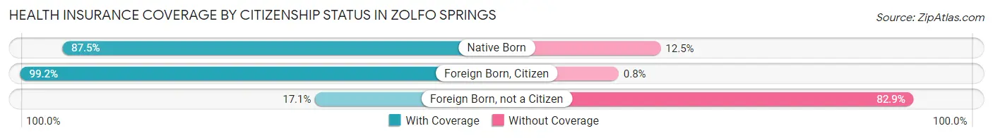 Health Insurance Coverage by Citizenship Status in Zolfo Springs