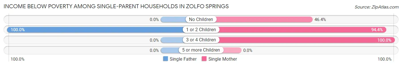 Income Below Poverty Among Single-Parent Households in Zolfo Springs