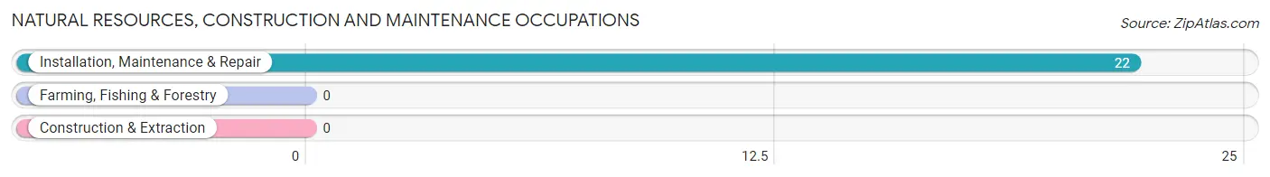 Natural Resources, Construction and Maintenance Occupations in Antioch