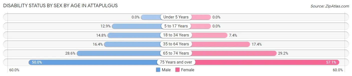 Disability Status by Sex by Age in Attapulgus