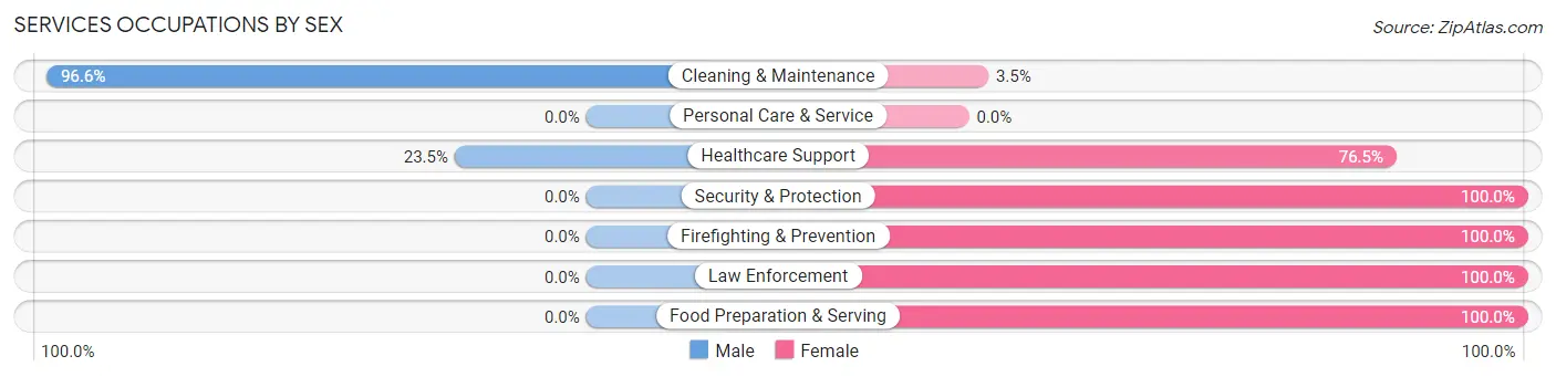 Services Occupations by Sex in Attapulgus