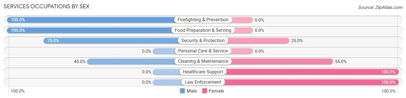 Services Occupations by Sex in Baconton