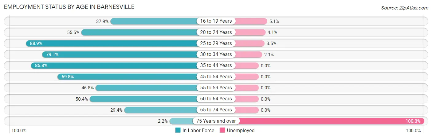 Employment Status by Age in Barnesville