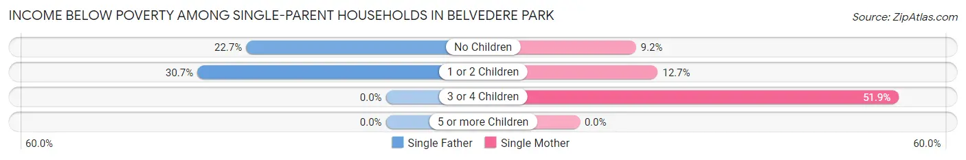 Income Below Poverty Among Single-Parent Households in Belvedere Park