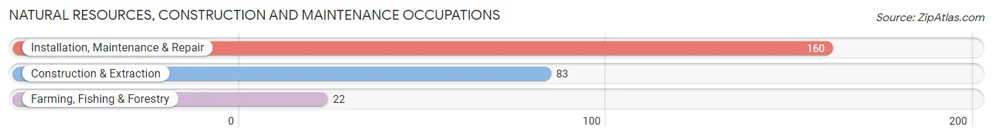 Natural Resources, Construction and Maintenance Occupations in Bemiss