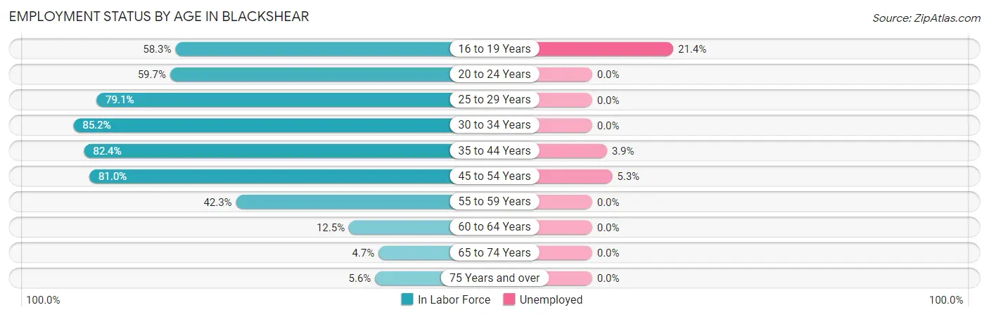 Employment Status by Age in Blackshear