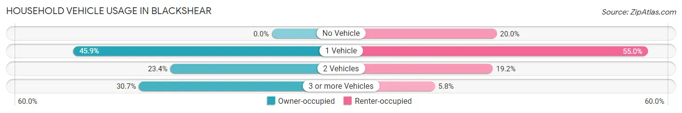Household Vehicle Usage in Blackshear