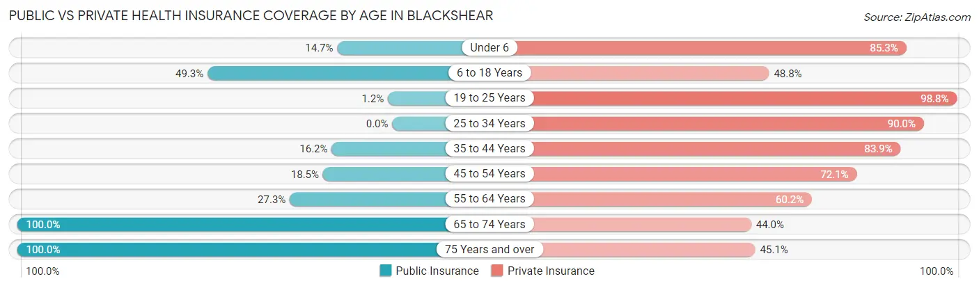 Public vs Private Health Insurance Coverage by Age in Blackshear