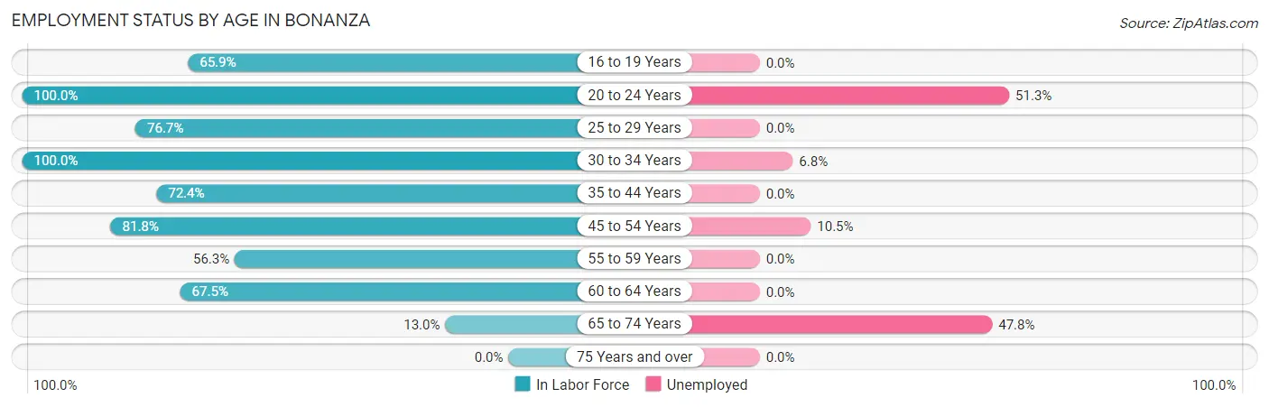 Employment Status by Age in Bonanza