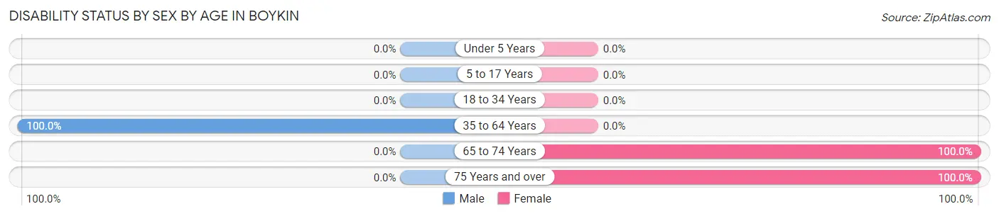 Disability Status by Sex by Age in Boykin