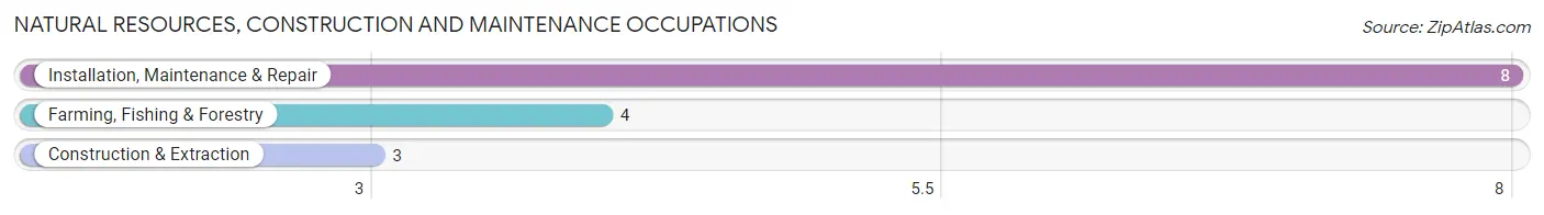 Natural Resources, Construction and Maintenance Occupations in Brinson