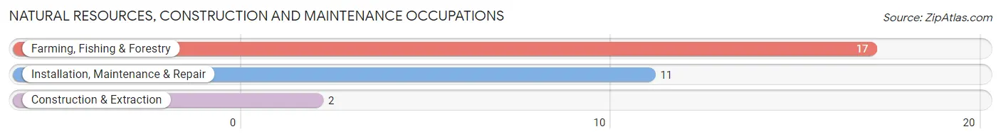 Natural Resources, Construction and Maintenance Occupations in Bronwood