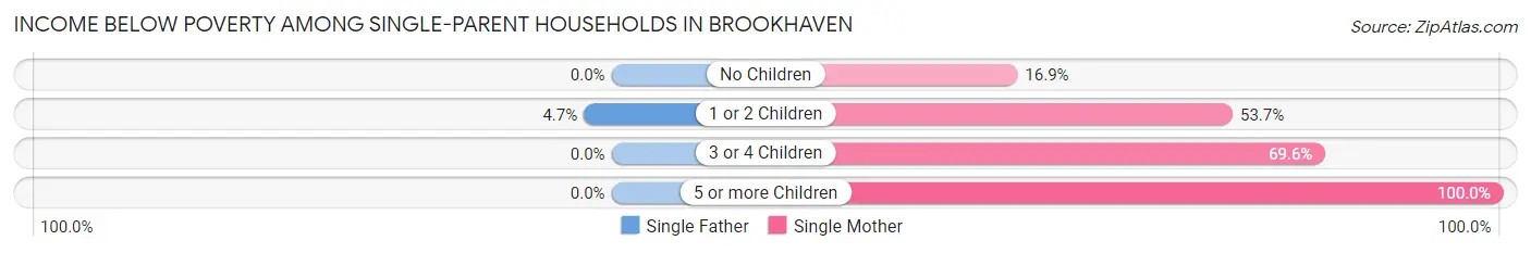 Income Below Poverty Among Single-Parent Households in Brookhaven