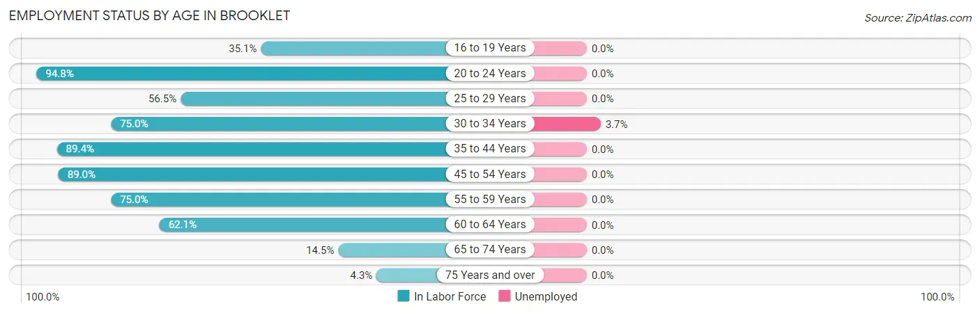 Employment Status by Age in Brooklet