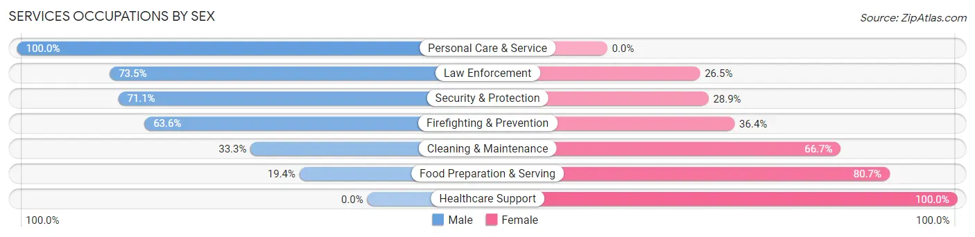 Services Occupations by Sex in Brooklet