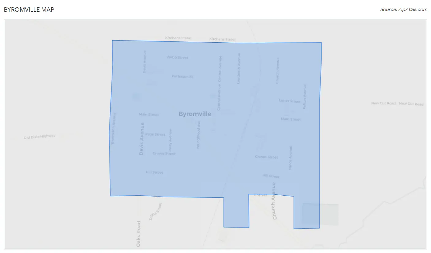 Byromville Map