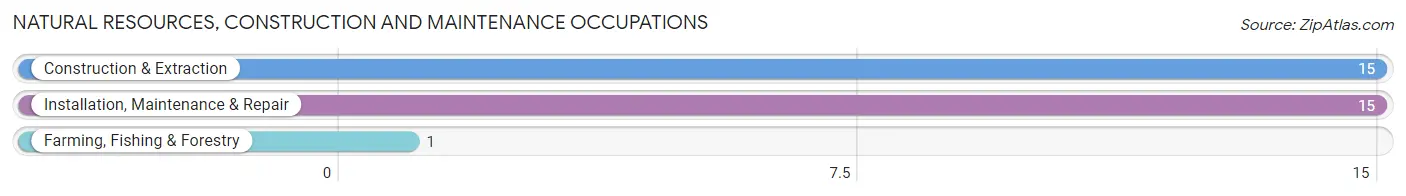 Natural Resources, Construction and Maintenance Occupations in Byromville