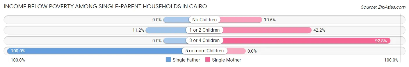 Income Below Poverty Among Single-Parent Households in Cairo