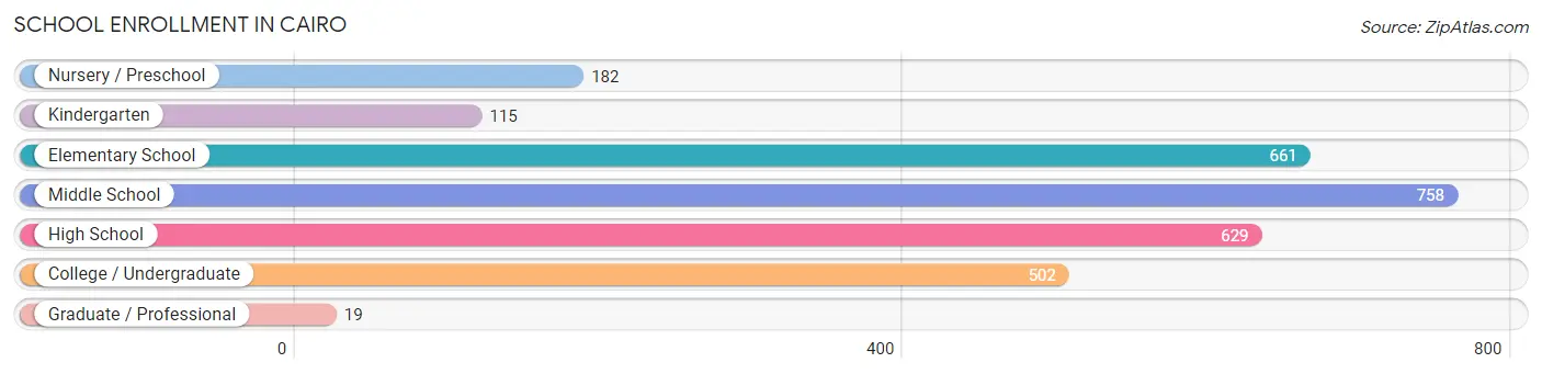 School Enrollment in Cairo