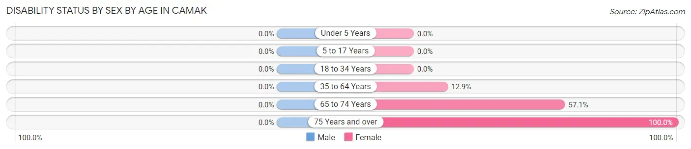 Disability Status by Sex by Age in Camak