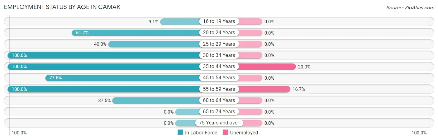 Employment Status by Age in Camak