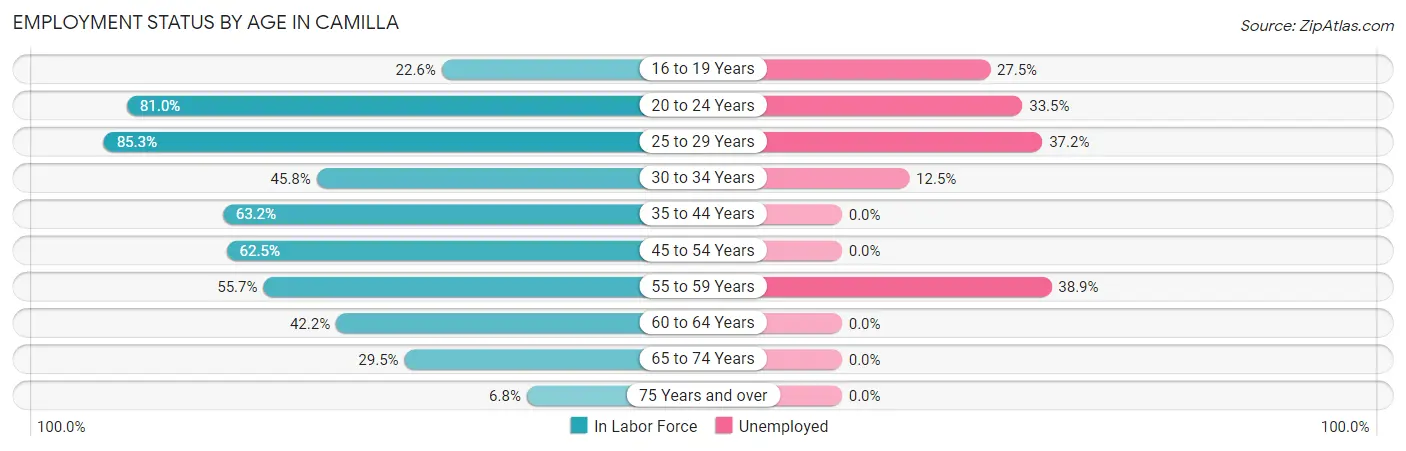 Employment Status by Age in Camilla