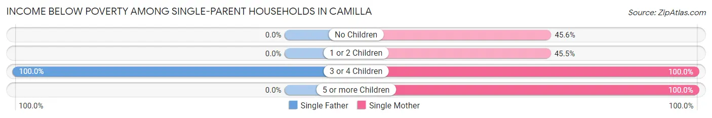 Income Below Poverty Among Single-Parent Households in Camilla