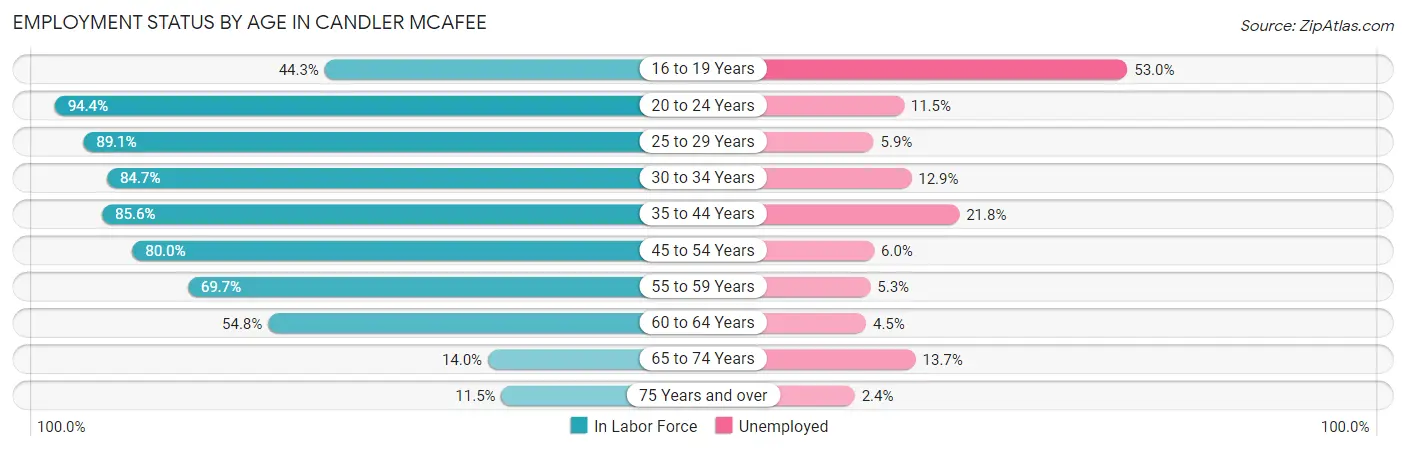 Employment Status by Age in Candler McAfee