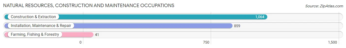 Natural Resources, Construction and Maintenance Occupations in Canton