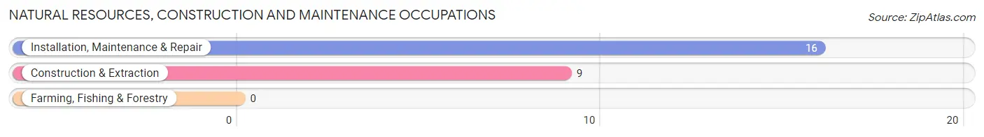 Natural Resources, Construction and Maintenance Occupations in Carl