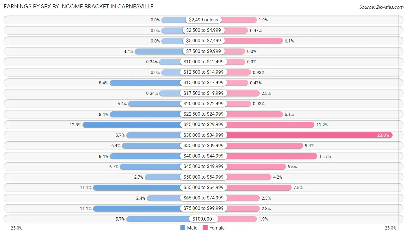 Earnings by Sex by Income Bracket in Carnesville