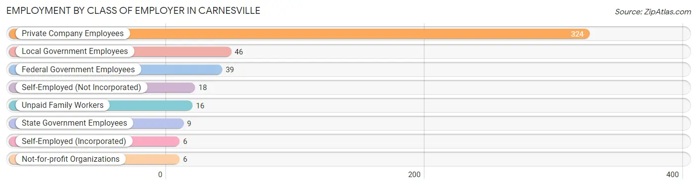 Employment by Class of Employer in Carnesville