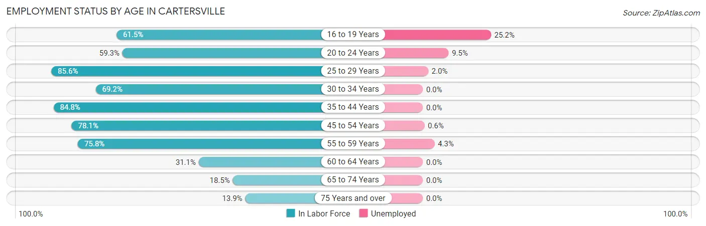 Employment Status by Age in Cartersville