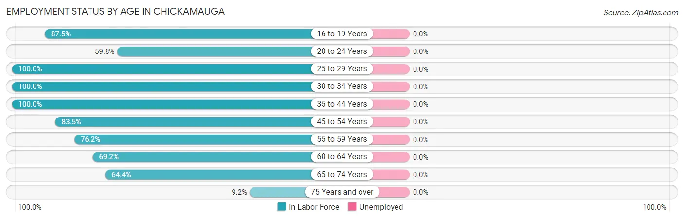 Employment Status by Age in Chickamauga