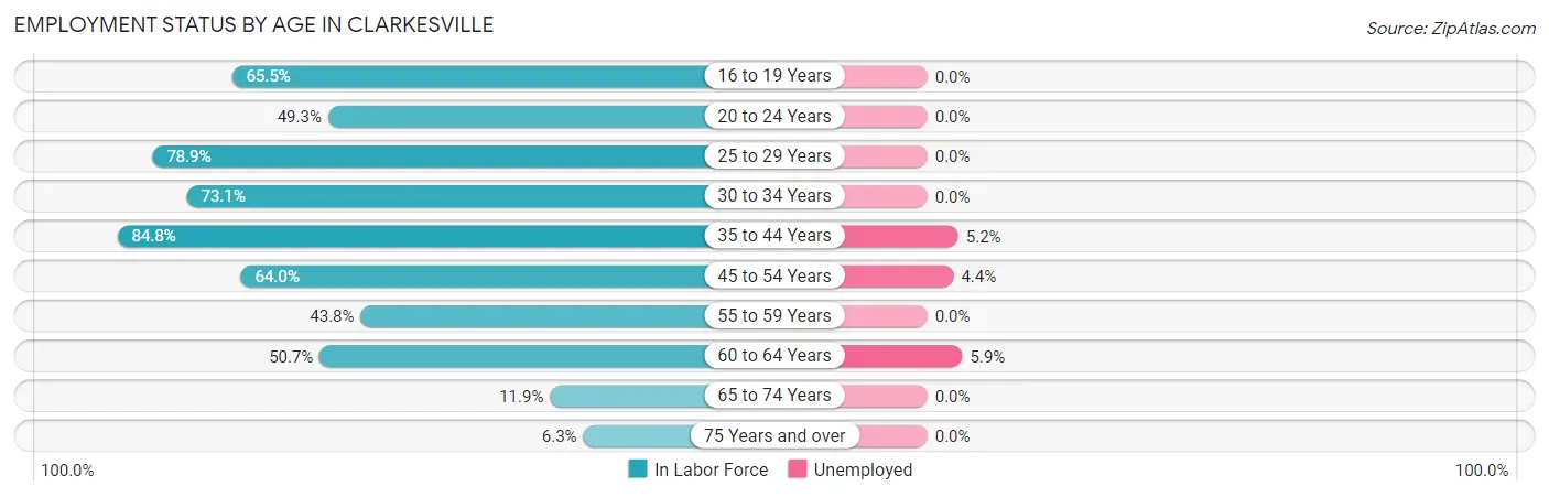 Employment Status by Age in Clarkesville