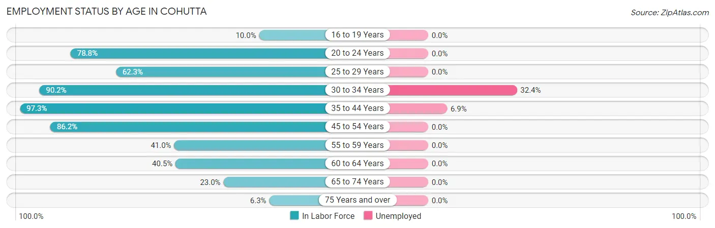 Employment Status by Age in Cohutta