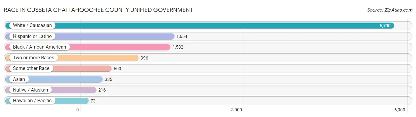 Race in Cusseta Chattahoochee County unified government